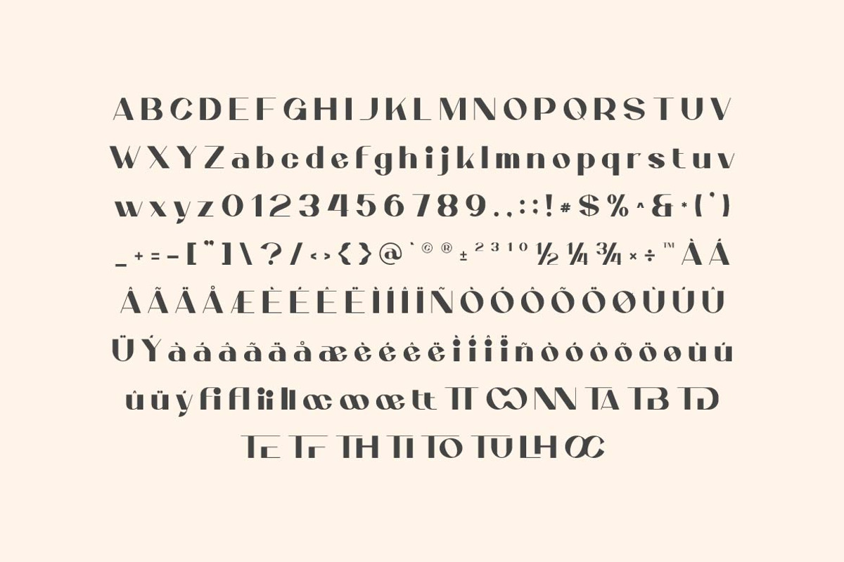 Vianelle Minimalist Sans, a Sans Serif Font by Artiveko (Photo 2 of 8)