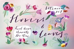Flowers & Leaves Vector Set