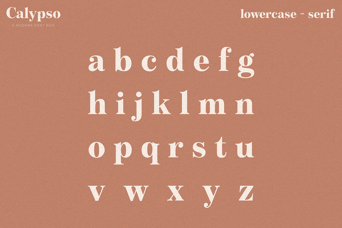 Calypso // A Modern Font Duo preview 8