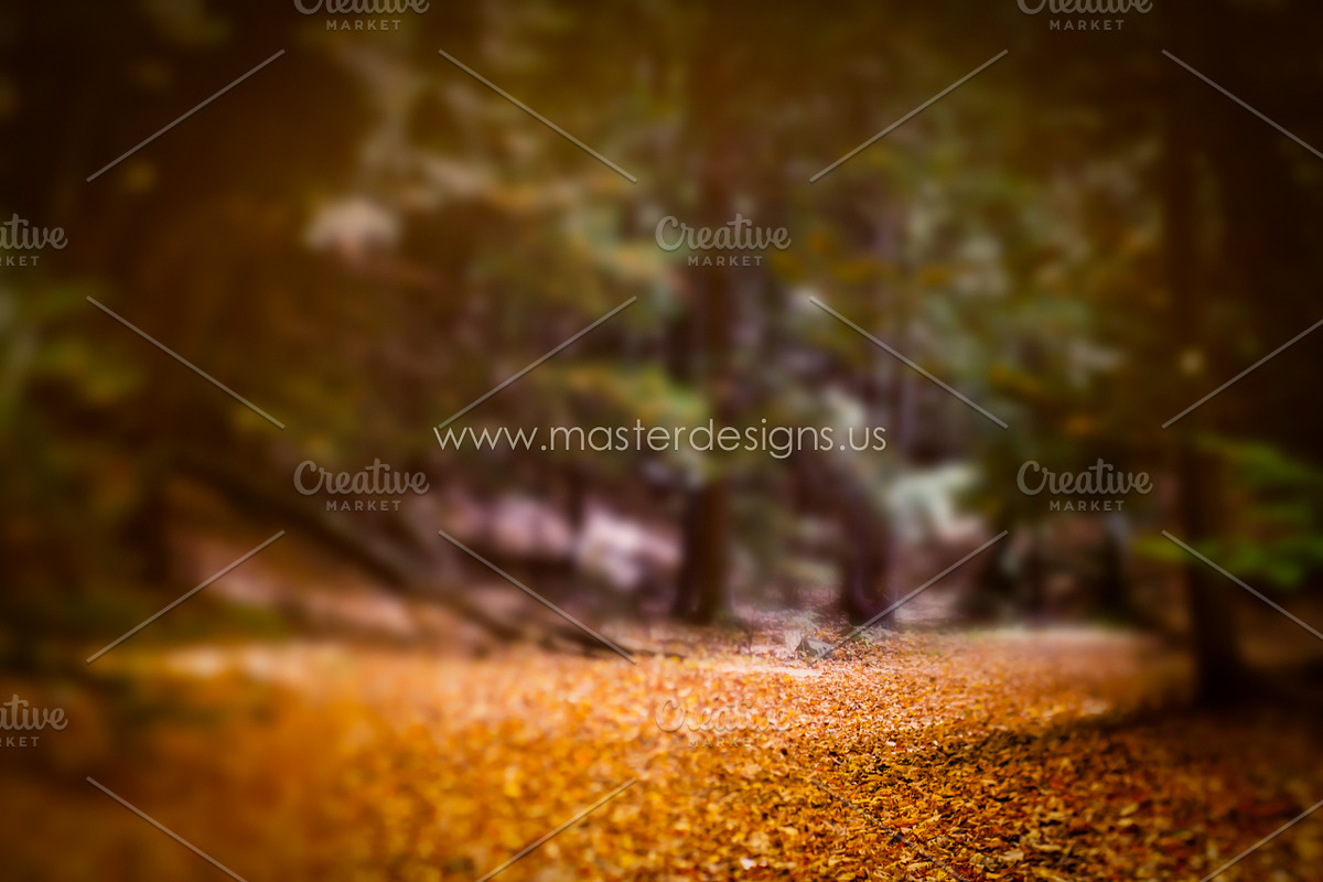 01 Fine Art Digital Texture/Backdrop, a Texture Graphic by Nancy Hebert Photography
