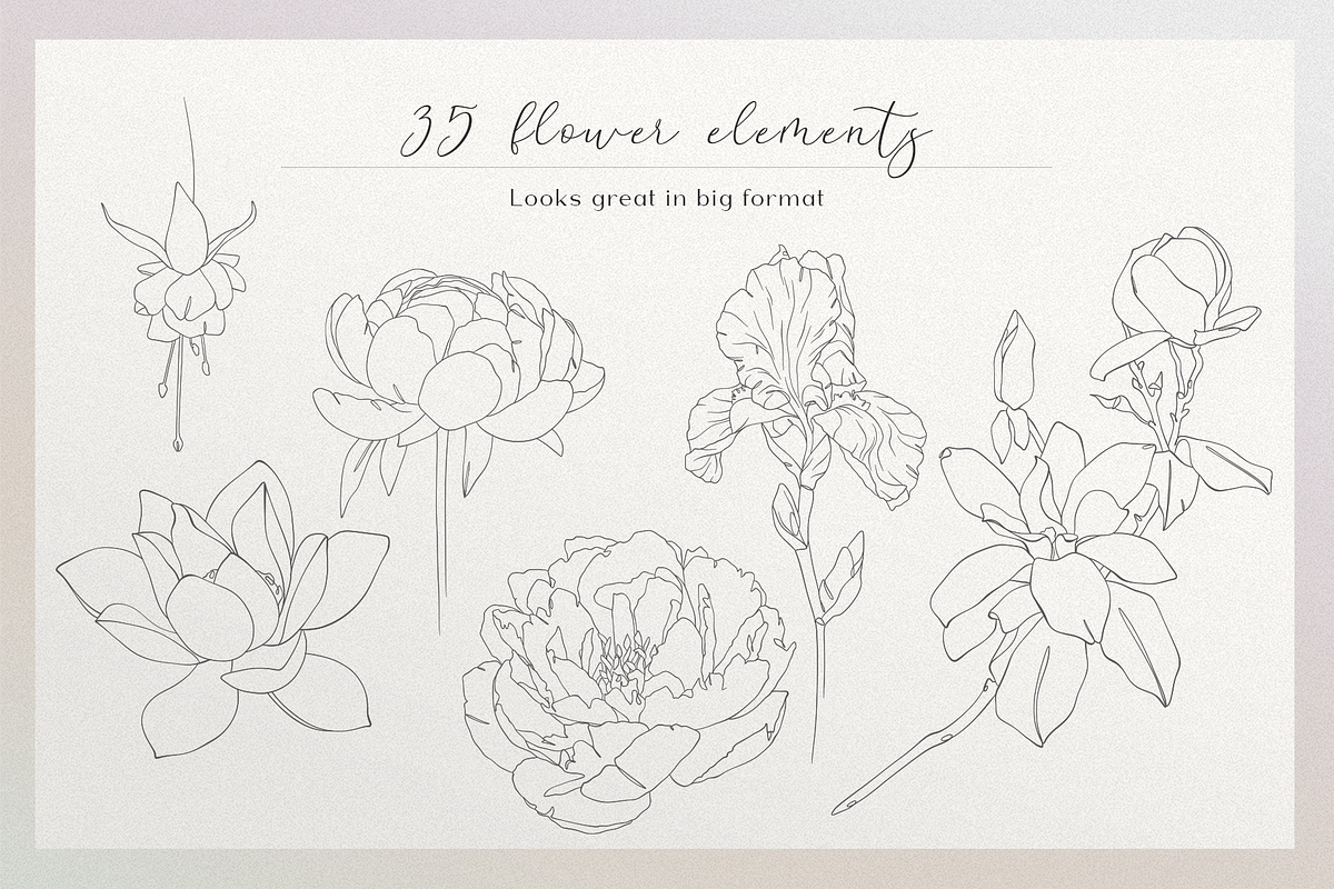 Blossom - floral line art, an Illustration by Anna.Klets (Photo 4 of 14)