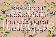 Bakewell Complete Family, a Sans Serif Font by Kimmy Design (Thumbnail 14 of 14)