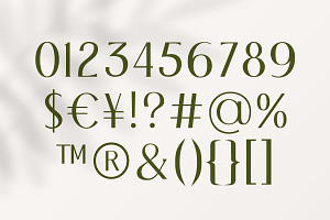 Christmas Elegant Font