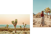 Joshua Tree Desert Wall Art, a Background Photo by Munopia (Thumbnail 5 of 10)