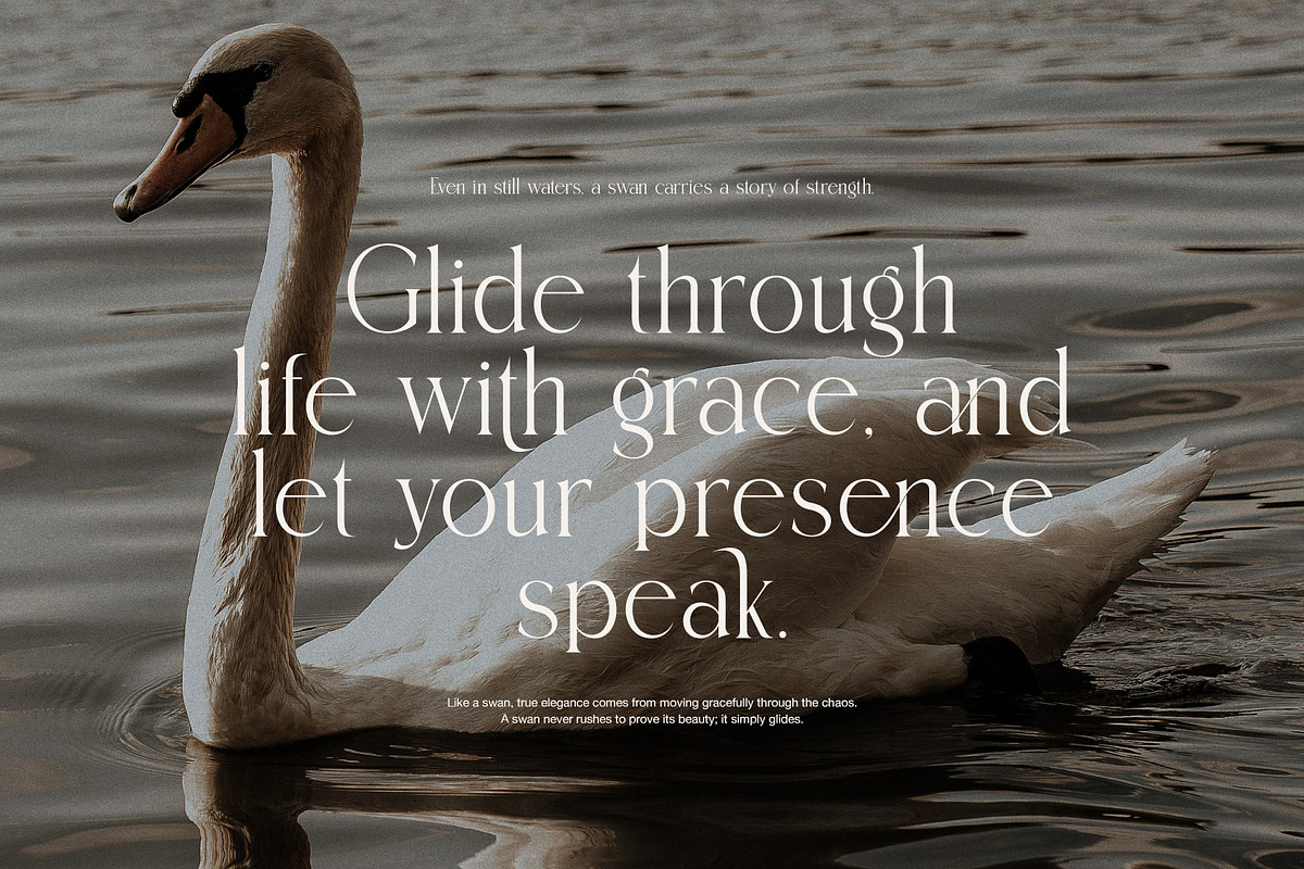Thamy Elegant Serif Font, a Serif Font by Perfectype (Photo 4 of 8)