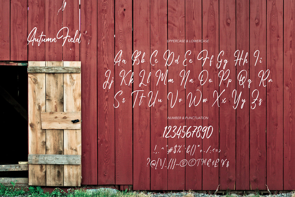 Autumn Field - Handwriting Type, a Script Font by ikiiko (Photo 5 of 7)