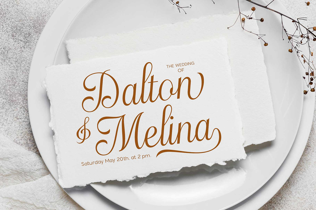 Haydenta - Calligraphic Script, a Script Font by Novitype (Photo 11 of 12)