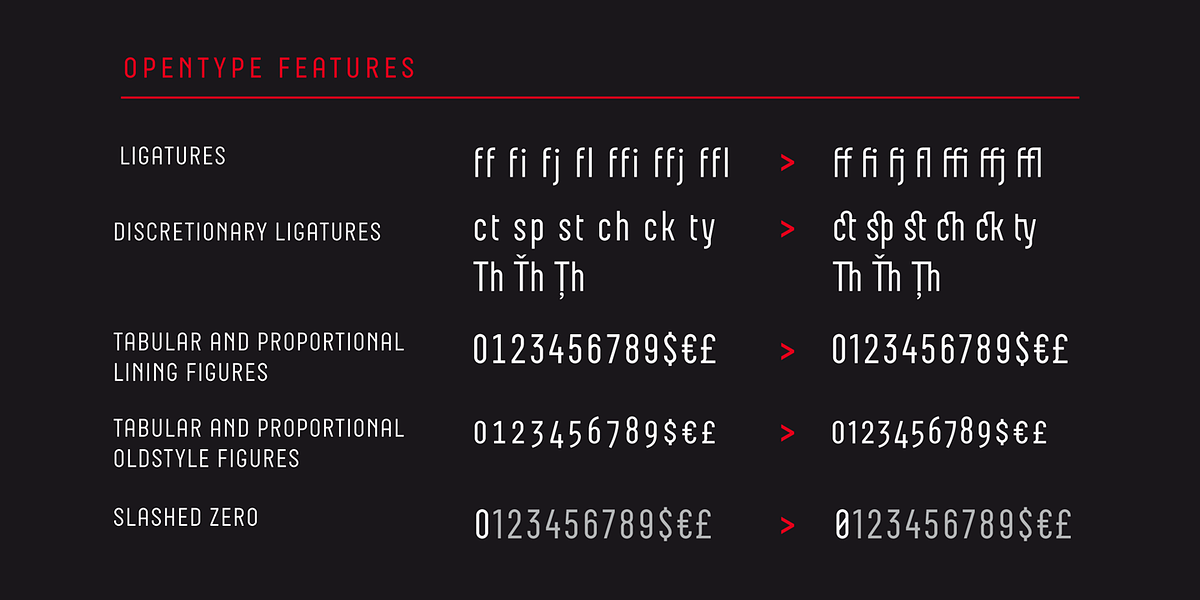 Neubau Pro, a Sans Serif Font by TipografiaRamis (Photo 9 of 11)