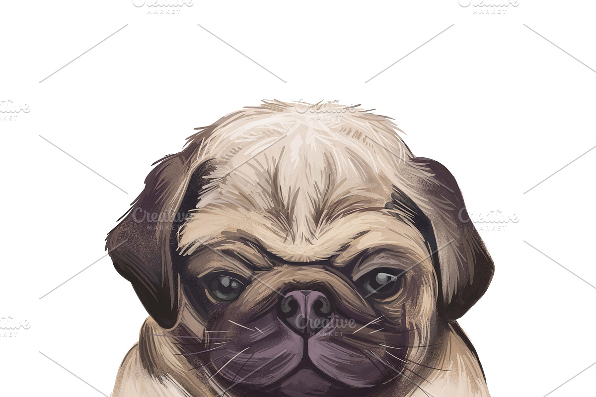 Dogs Cross Breeds 56 Animals Bundle, an Animal Illustration by Dneprstock (Photo 35 of 55)
