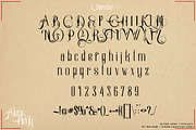 Alens Heny, a Serif Font by Bramcreative (Thumbnail 7 of 7)