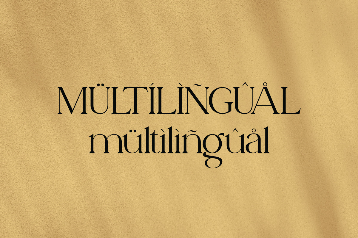 ROYAL PUERTO MODERN SERIF, a Serif Font by The_Type (Photo 11 of 11)