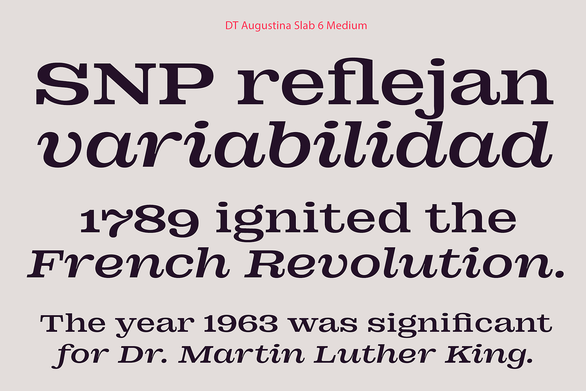 DT Augustina Slab 6 Subfamily, a Slab Serif Font by Deveze Type Foundry (Photo 9 of 30)