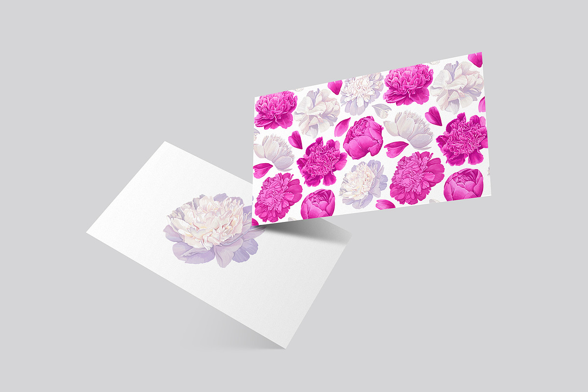 White & Pink Realistic Peonies Set, an Illustration by MarynaPetrovska (Photo 16 of 23)