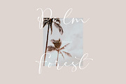 Raissa | Elegant Script Font, a Handwritten Font by Typoraith Co (Thumbnail 5 of 12)