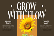 Rachon Bold Tall Display Serif, a Serif Font by timelesstype.co (Thumbnail 3 of 20)