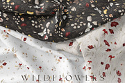 Wildflowers Watercolor Wild Botany, a Decorative Illustration by Kreker Kate (Thumbnail 8 of 11)