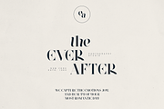 Font Bundle Vol.05 – 8 Premium Fonts, a Serif Font by Only Fonts (Thumbnail 24 of 26)