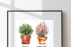 Watercolor Herbs And Flowers In Pots