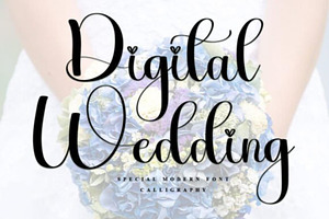 Digital Wedding Elegant Wedding Font