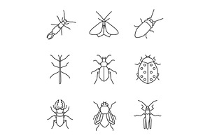 Insects Linear Icons Set