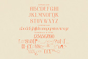 aimstesa stylish serif font, a Serif Font by Storytype Studio (Thumbnail 13 of 15)