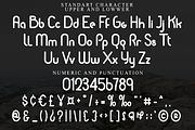Anita, a Script Font by FreshTypeINK (Thumbnail 6 of 8)
