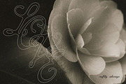 The Old Habit Vintage Script Font, a Script Font by AnMark (Thumbnail 9 of 13)