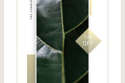 Plant series stock photos, a Nature Photo by Nellaino (Thumbnail 6 of 6)