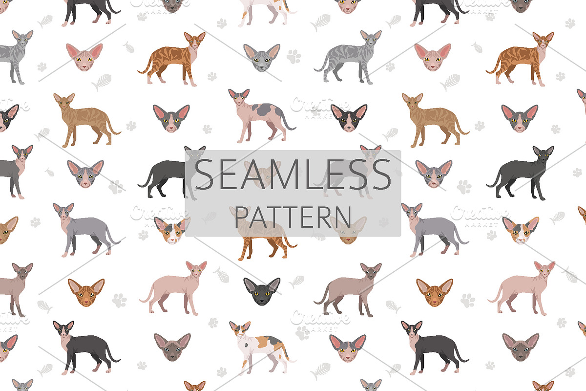 Peterbald cat, an Animal Illustration by pet design shop (Photo 6 of 6)