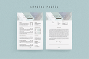 Professiona Resume BUNDLE Template M, a Resume Template by Showy68 Template (Thumbnail 5 of 6)
