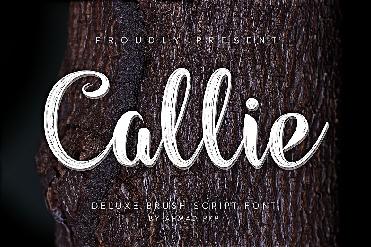Callie - Modern Brush Font, a Script Font by Ahmad Pkp Studio (Photo 1 of 9)