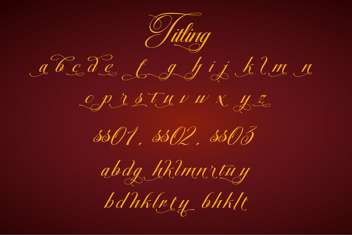 Christmas Calligraphy, a Script Font by Letterara (Photo 14 of 15)