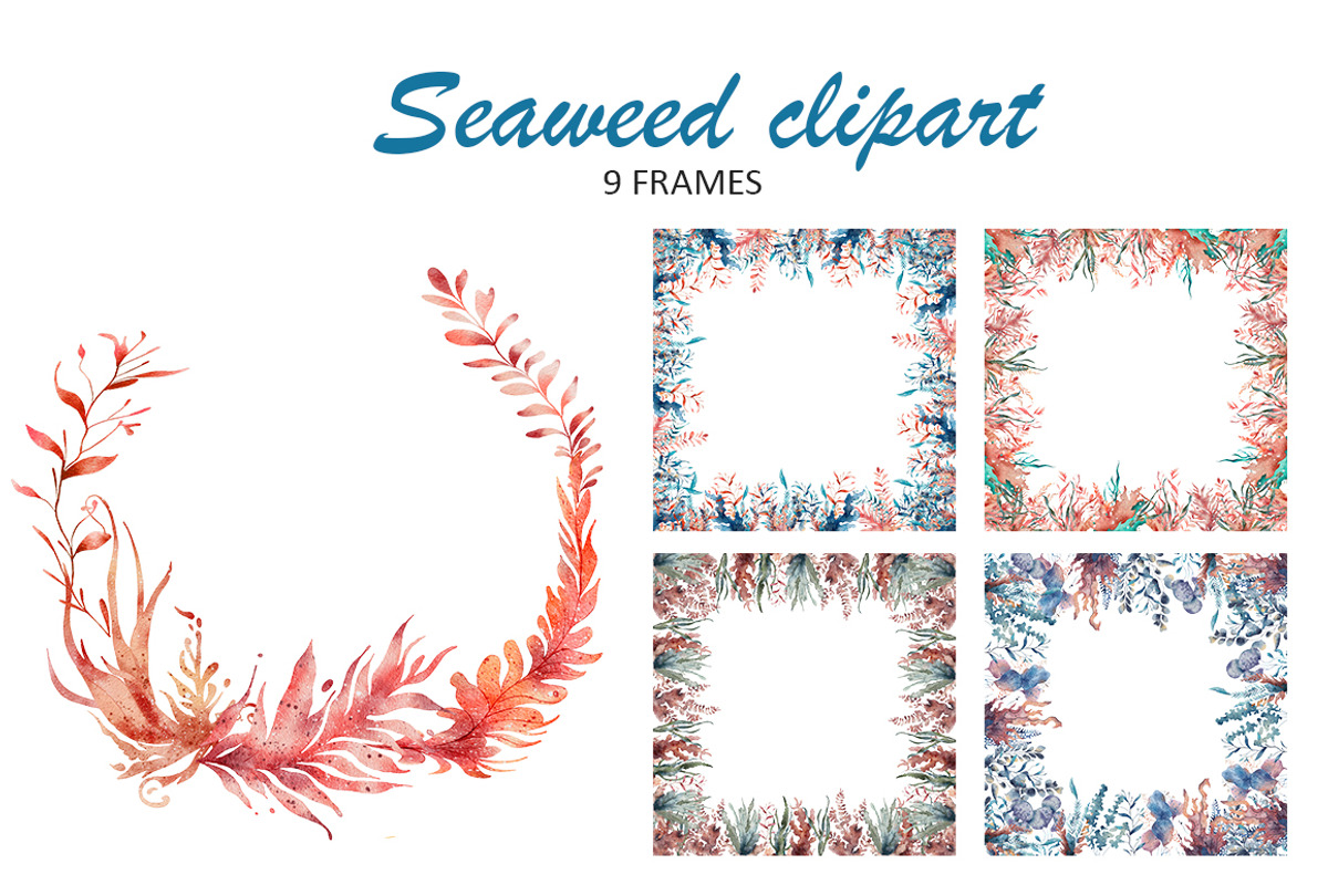 Water Plants Seaweed Clipart, an Object Illustration by Evgeniia (Photo 4 of 5)