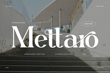 Mettaro Elegant Ligature Serif Font