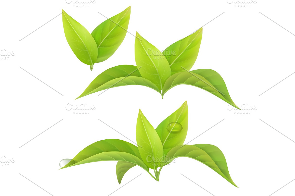 Tea leaves isolated, a Food Illustration by belander