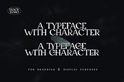 Black Echo Modern Ligature Font, a Font by AndrewPixelType (Thumbnail 2 of 12)