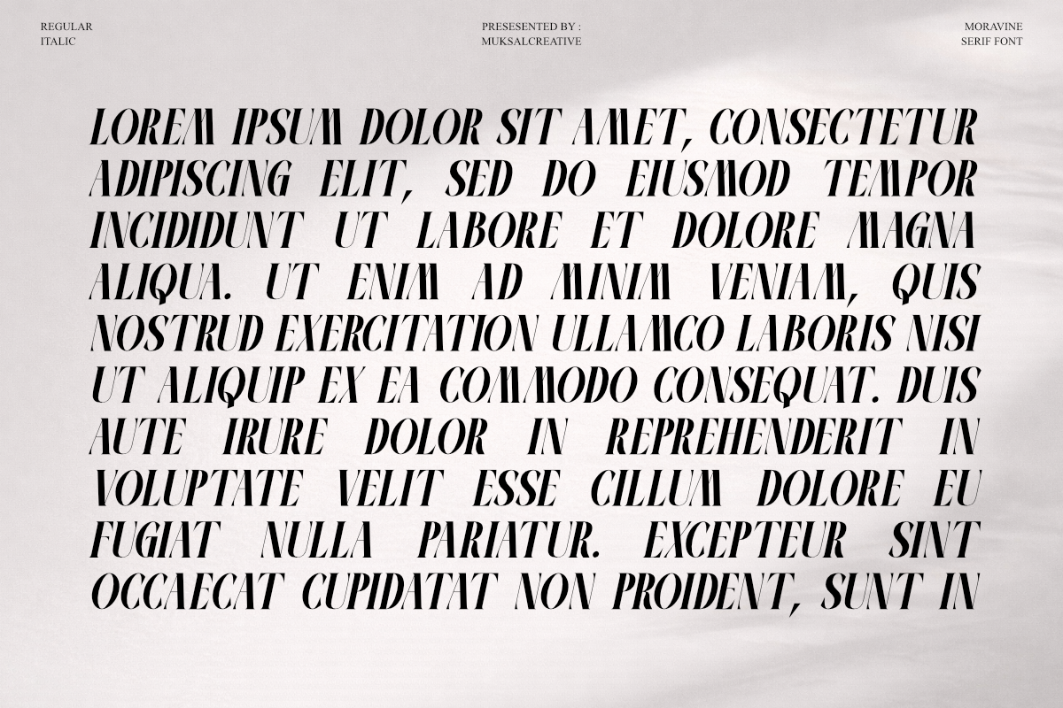Moravine Modern Editorial Serif, a Serif Font by Muksal Creative (Photo 7 of 10)