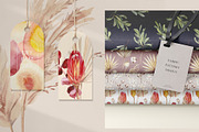 Dry boho grass and herbs watercolor, a Decorative Illustration by Volha Studio (Thumbnail 8 of 13)
