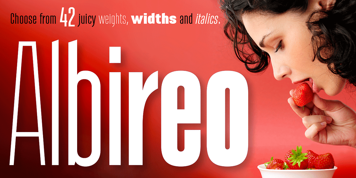 Albireo, a Sans Serif Font by Cory Maylett Design (Photo 1 of 4)