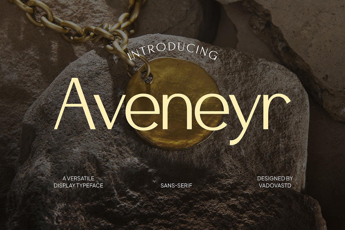 Aveneyr Versatile Typeface Font, a Sans Serif Font by Vadovastd (Photo 1 of 8)