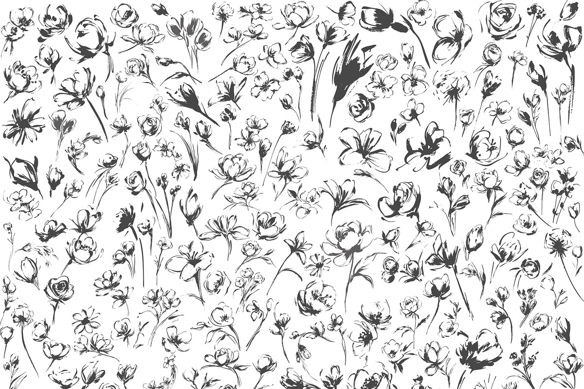 Botanical Sketch Flowers & Greenery, an Illustration by Tinydew (Photo 8 of 9)