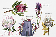 Protea floral watercolor clipart png, a Decorative Illustration by Artcard Watercolor (Thumbnail 2 of 7)