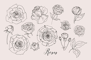 Sketches Of Flowers Line Vector