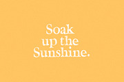 California Palms Fonts & Graphics, a Serif Font by Nicky Laatz (Thumbnail 23 of 48)