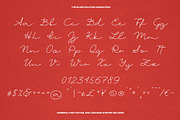 The Silver Halation Modern Script, a Script Font by Anastasiia VNSK (Thumbnail 7 of 11)