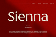 TBJ Sienna Elegant Serif Font Family, a Serif Font by Taboja Studio (Thumbnail 1 of 15)