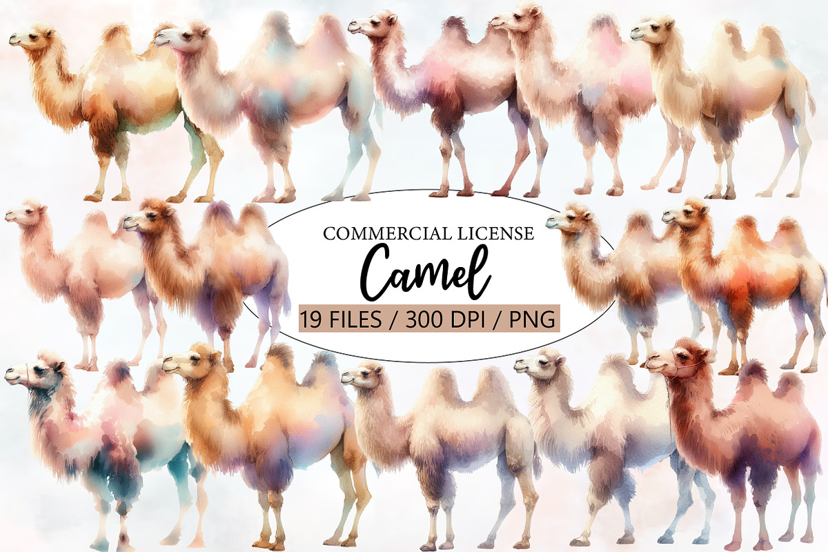 Watercolor Camel clipart, an Illustration by Designworld (Photo 1 of 5)
