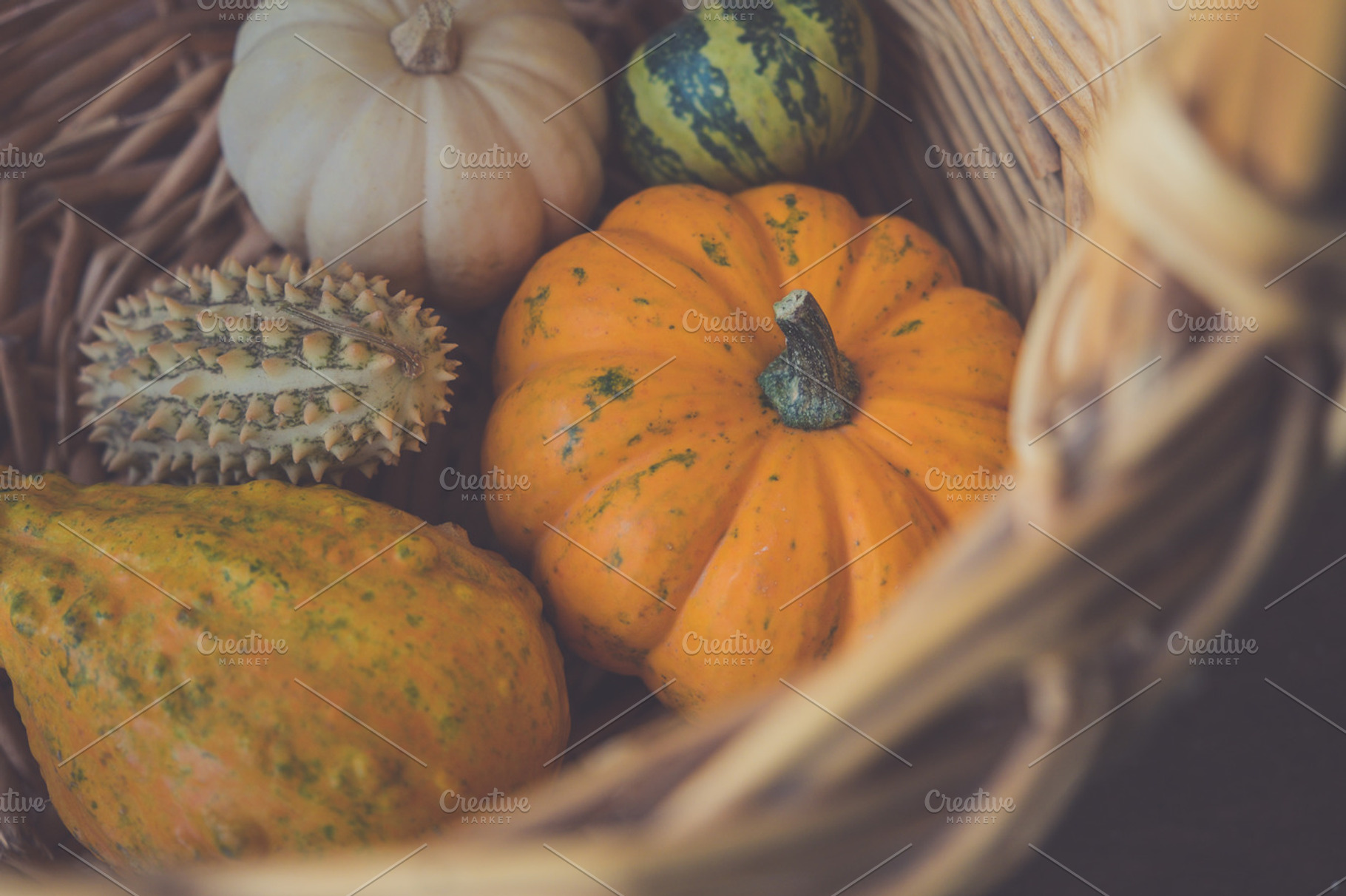 Pumpkins in a wicker basket, a Food & Drink Photo by Tan Tranquila
