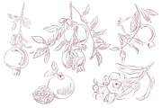 Pomegranate Watercolor Patterns, an Illustration by IrynaPanashii (Thumbnail 3 of 12)