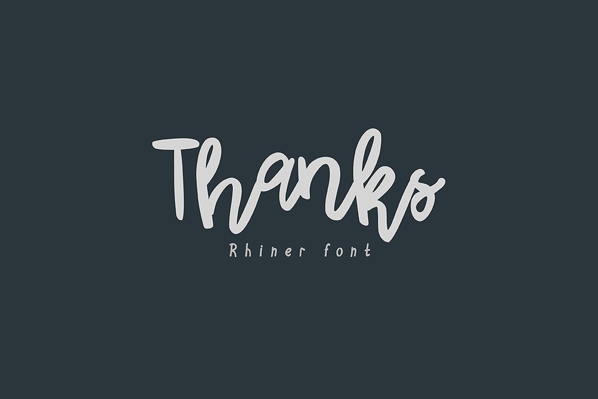 Rhiner Handwritten Script preview 8